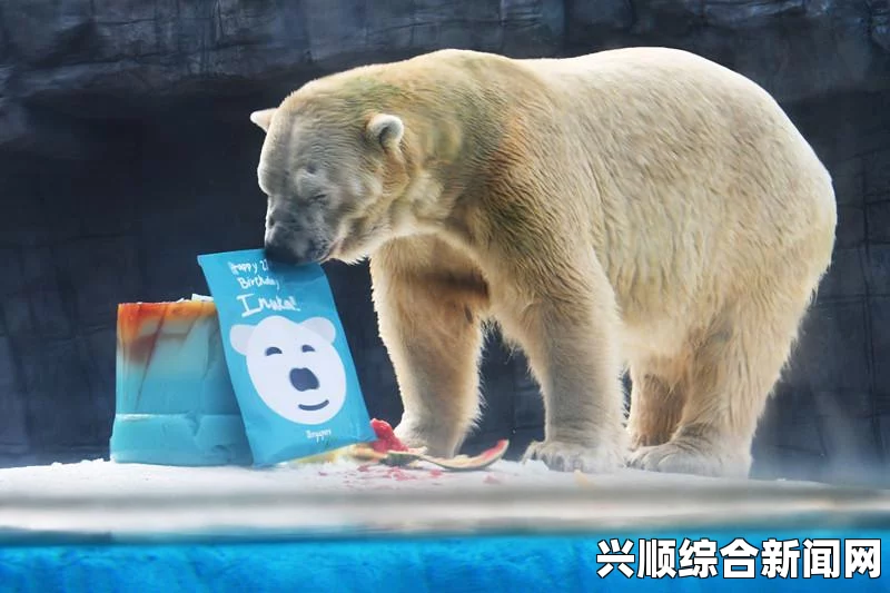 谷歌街景地图拍摄北极苔原，探寻自然之美与北极熊的求上镜之旅