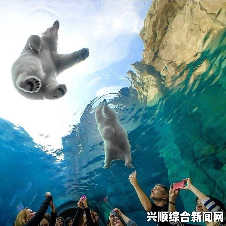 谷歌街景地图拍摄北极苔原，探寻自然之美与北极熊的求上镜之旅