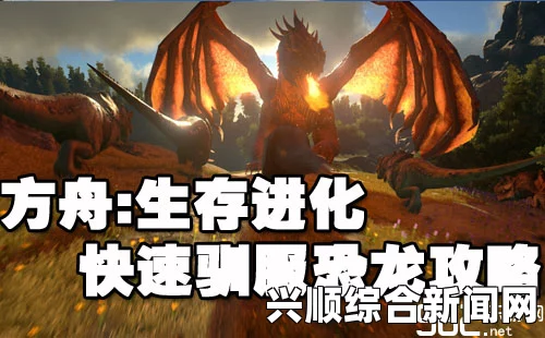 方舟生存进化，驯龙与坐骑养成全攻略——深度解析驯化过程与技巧