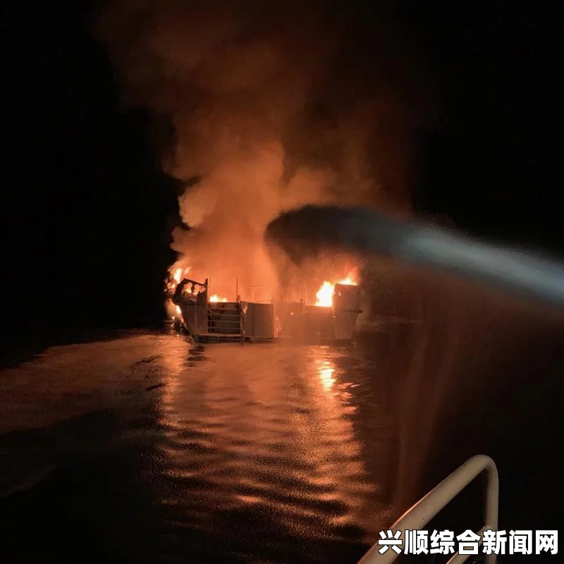 船只状况调查与火灾原因揭秘，深度探究事故真相