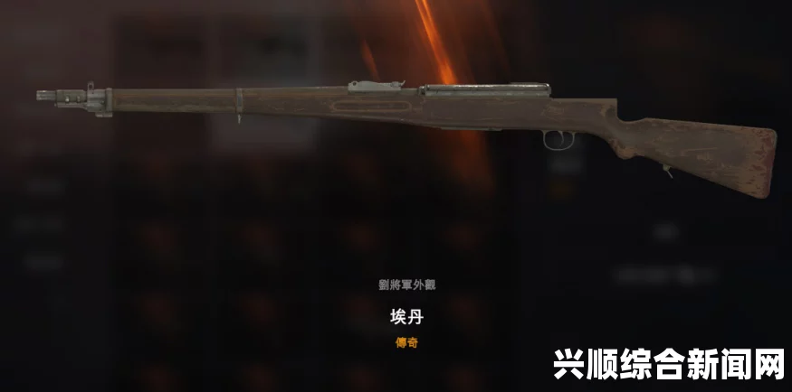 战地1皮肤枪装备指南，全面攻略助你轻松获取独特武器外观
