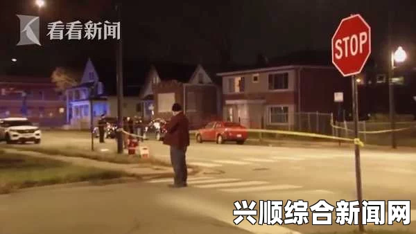 美国男童玩枪意外致命悲剧
