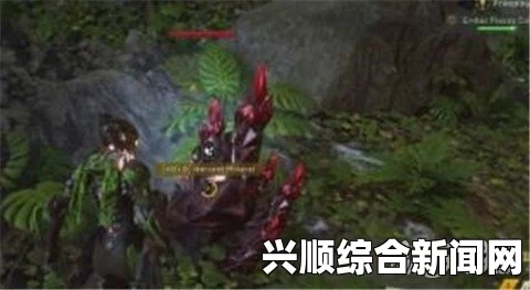 关于圣歌收藏品的获取地点与方式