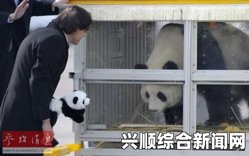 英媒，中国以大熊猫外交换取资源和技术
