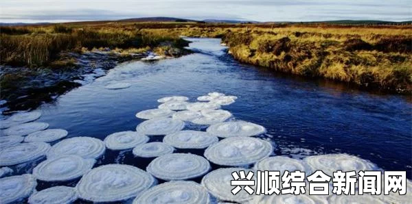 全球最奢华煎饼，英国天价美食体验，售价高达800英镑