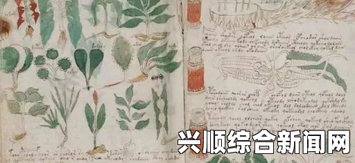 英教授破译世界最难书伏尼契手稿揭秘