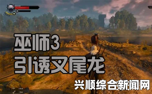 巫师3狂猎，探寻叉尾龙任务中艾斯凯尔留下的隐秘踪迹