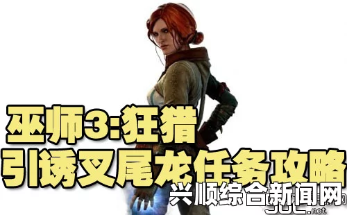 巫师3狂猎，引诱叉尾龙任务中艾斯凯尔留下的踪迹探寻