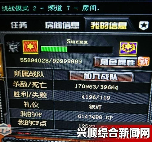 CF游戏中大元首技术差异的原因解析，技术精湛与否的背后因素探讨