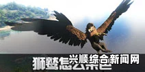 方舟，生存进化染色功能使用方法详解