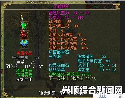 剑士游戏自带装备染色攻略