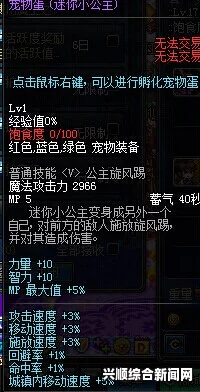 DNF迷你不知火，全面解析与介绍