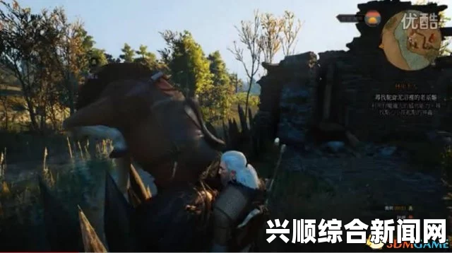 巫师3狂猎，各种奇葩BUG视频合辑