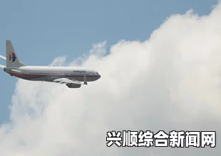 马来西亚失联客机最新消息，深度揭示正机师驾驶员信息