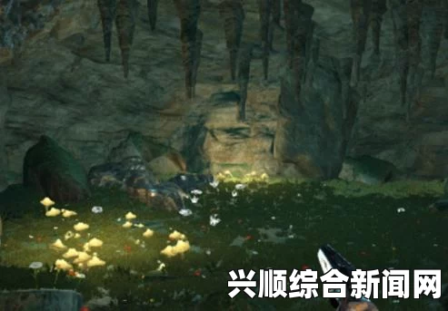 方舟，生存进化矿洞地图分布位置一览