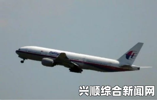 马航失联客机MH370的谜团与真相