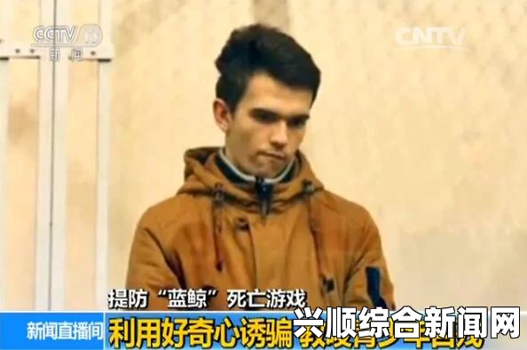 一、俄罗斯蓝鲸游戏的概述