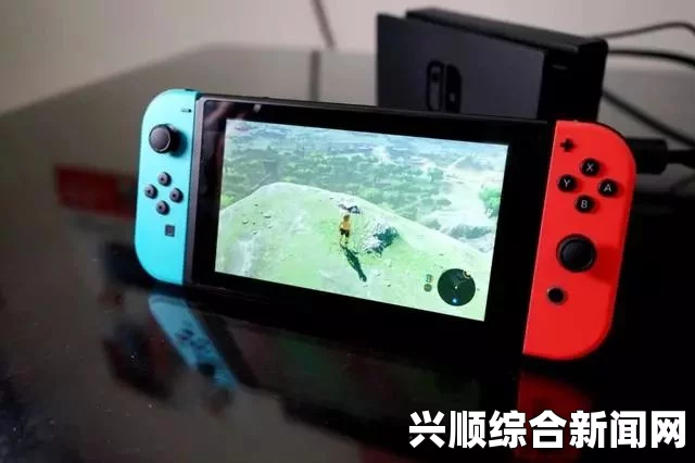 NS和Switch区别解析