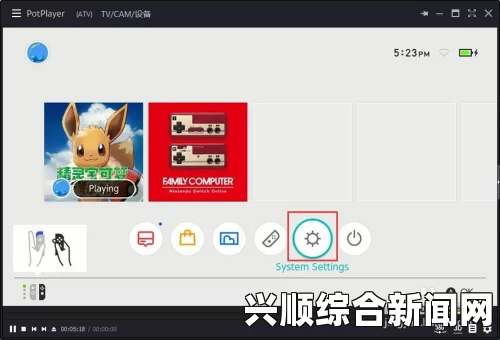 NS和Switch区别解析