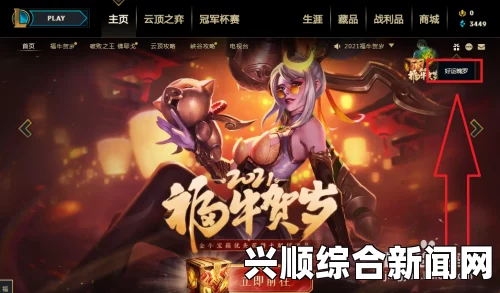 LOL赏银的全方位作用解析，用途与效益详解