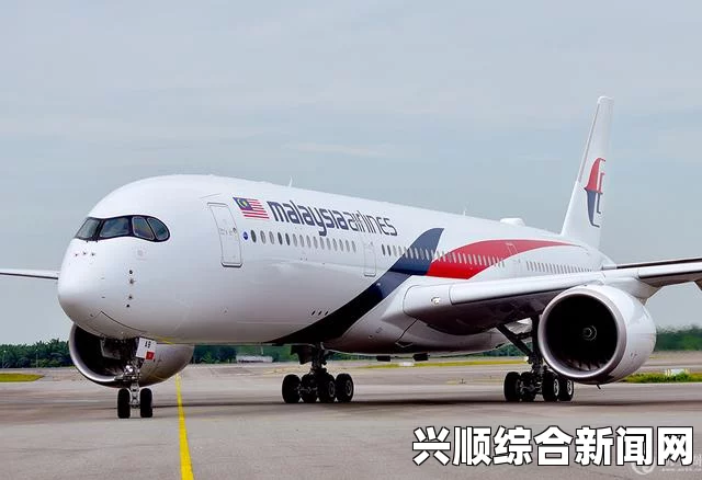 马来西亚航空公司飞机失事赔偿金额标准（最新）