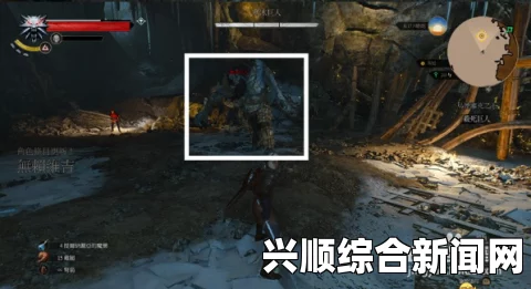 巫师3狂猎，乌德维克之王任务所需绳子位置解析