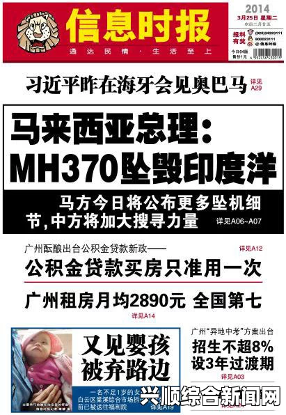 持假护照登上马航失联飞机事件深度解析
