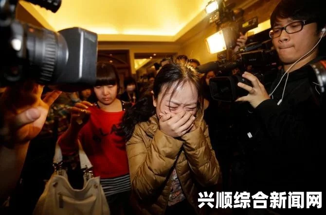 中国驻胡志明总领馆关于马航漂浮物事件发布会内容概述