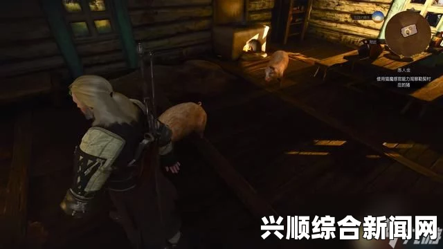 巫师3狂猎支线任务视频攻略