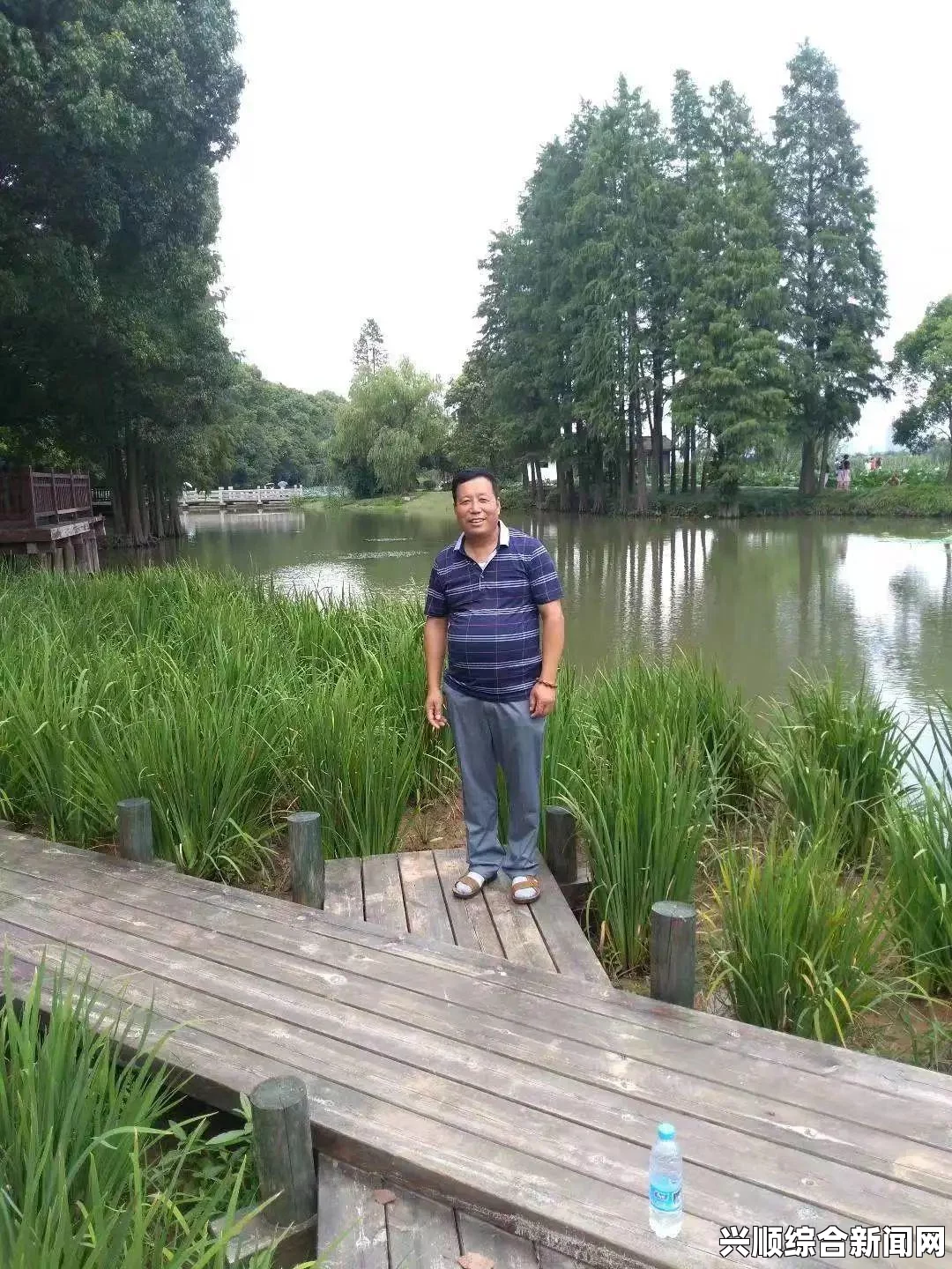 龙之死印忍者攻略，掌握核心玩法技巧