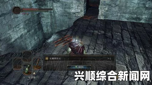 黑暗之魂2原罪学者，誓约系统解析分享