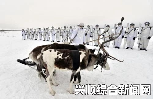 龙之死印，北方冰原第一关BOSS攻略