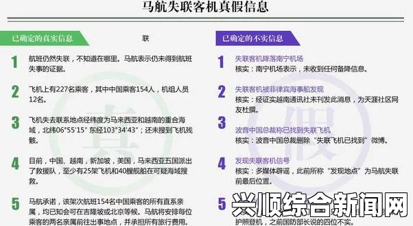 马航失联客机事件微博谣言处理，维护信息真实性，遏制网络谣言传播
