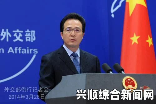 一、关于马航失联客机事件的背景概述