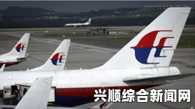 失联的MH370飞机及其波音777-200资料简介