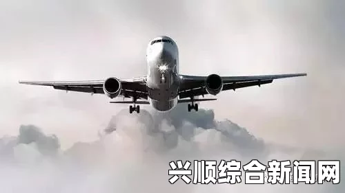 失联的MH370飞机及其波音777-200资料简介