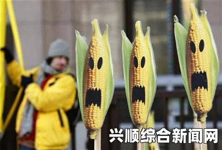 法国农业部决定禁止国内种植MON810转基因玉米