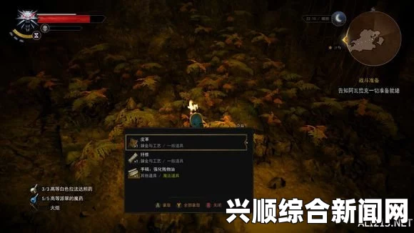 巫师3等级上限详解