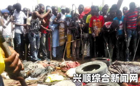 尼日利亚北部发生严重爆炸及交火事件，已造成至少212人死亡