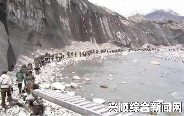 龙之死印各属性作用详解
