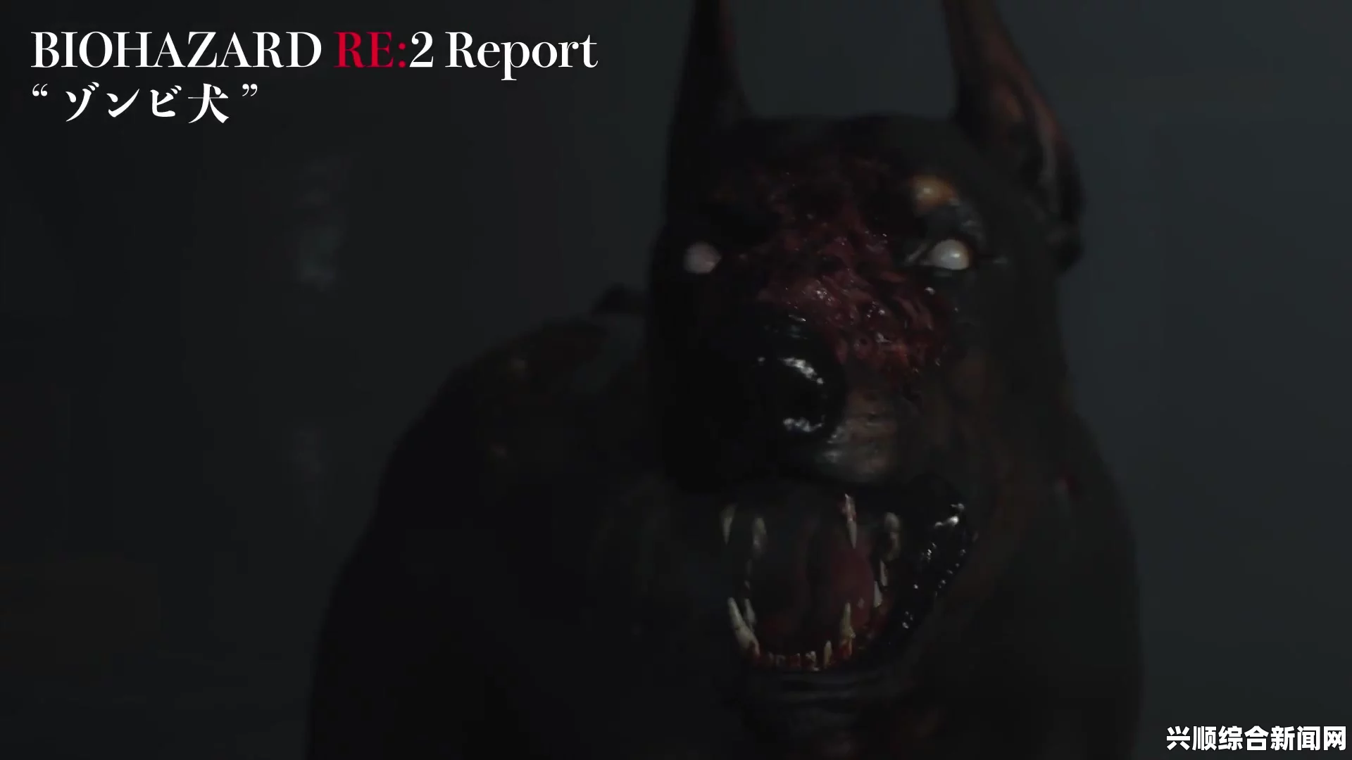 生化危机2重制版，丧尸犬攻击部位解析