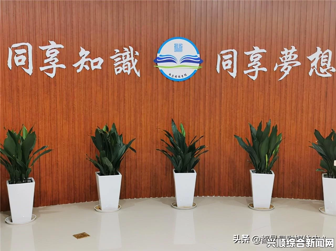关键词介绍，深入了解核心要点