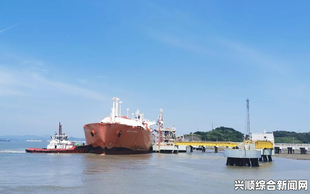 澳大利亚海事局公布疑似飞机残骸卫星图像，探寻失联飞机新线索