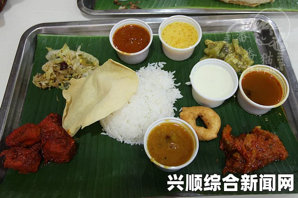 新加坡食物浪费现象研究，深度探讨与数据分析（2013年）