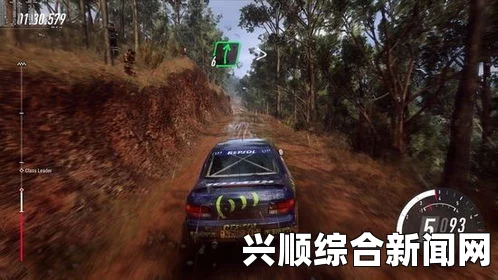 尘埃拉力赛2.0，解决路面远景模糊问题指南