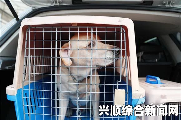 美女大学生乘出租车遭遇天价车费，约三公里行程被宰800美元