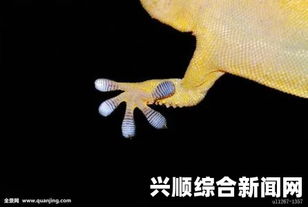 魔兽世界7.2版本，从蜥蜴深渊救出领袖任务完成攻略