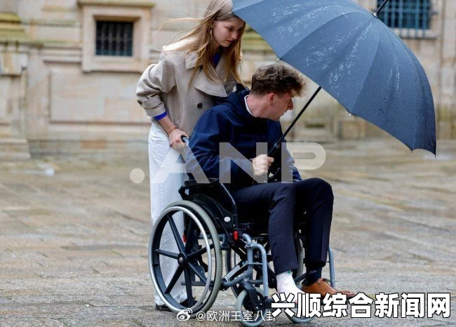 比利时王子接受人工医疗昏迷以顺利治疗肺炎