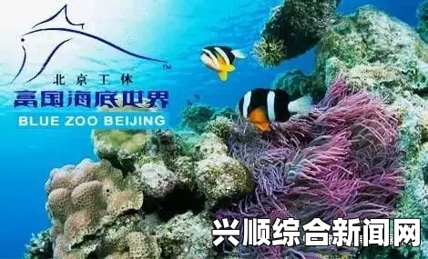 俄罗斯蓝鲸游戏，深入解析50个任务指令的脊背发凉之谜