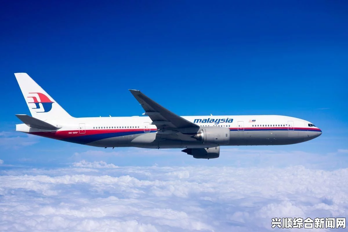马航MH370航班物品调查，山竹包裹炸弹疑云重重